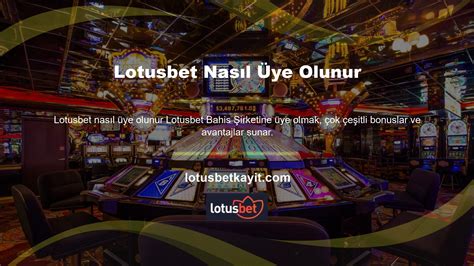 lotusbet - lotusbet apostas