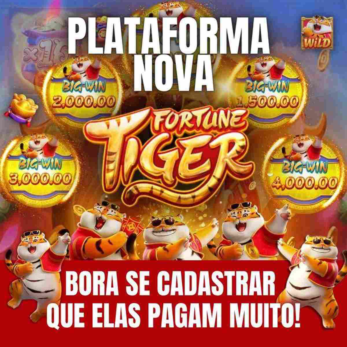 nuvem bet casino